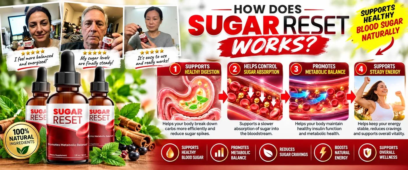 Sugar Reset how it works overview graphic